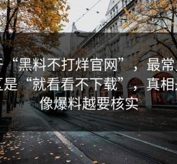 关于“黑料不打烊官网”，最常见的误区是“就看看不下载”，真相是越像爆料越要核实
