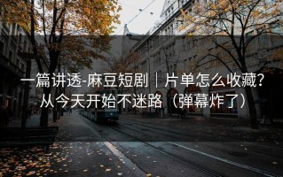一篇讲透-麻豆短剧｜片单怎么收藏？从今天开始不迷路（弹幕炸了）