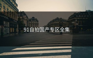 91自拍国产专区全集