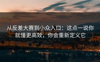 从反差大赛到小众入口：这点一说你就懂更高效，你会重新定义它