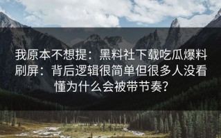 我原本不想提：黑料社下载吃瓜爆料刷屏：背后逻辑很简单但很多人没看懂为什么会被带节奏？