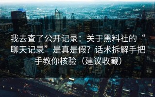我去查了公开记录：关于黑料社的“聊天记录”是真是假？话术拆解手把手教你核验（建议收藏）