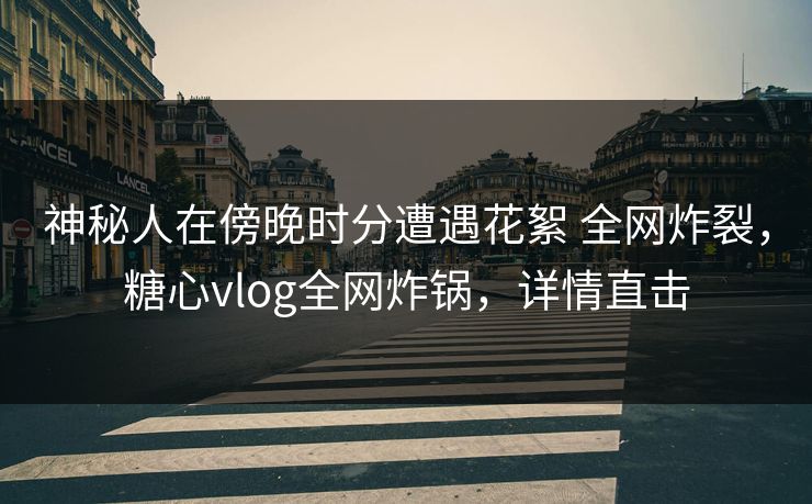 神秘人在傍晚时分遭遇花絮 全网炸裂，糖心vlog全网炸锅，详情直击-第1张图片-黑料社APP官网 - 吃瓜爆料第一站